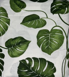 Monstera